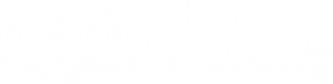 AGENCIA KMC PUBLICIDADE E PROPAGANDA S/A